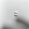 Amlodipine Besylate; Atorvastatin Calcium Tablet; Oral 