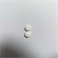 Amlodipine Besylate; Atorvastatin Calcium Tablet; Oral 